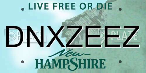 DNXZEEZ New Hampshire License Plate