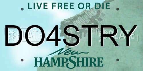 DO4STRY New Hampshire License Plate