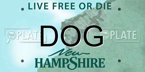 DOG New Hampshire License Plate