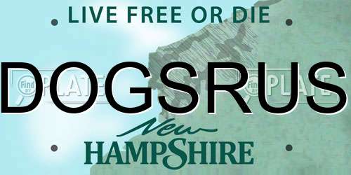 DOGSRUS New Hampshire License Plate