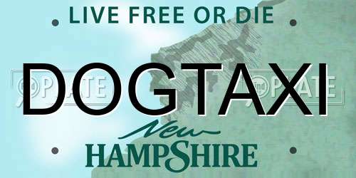 DOGTAXI New Hampshire License Plate