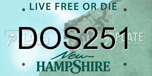 DOS251 New Hampshire License Plate