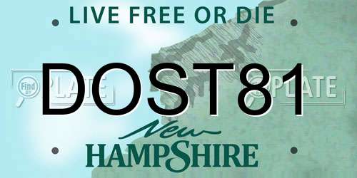 DOST81 New Hampshire License Plate