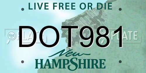 DOT981 New Hampshire License Plate