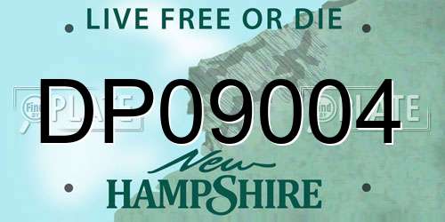 DP09004 New Hampshire License Plate