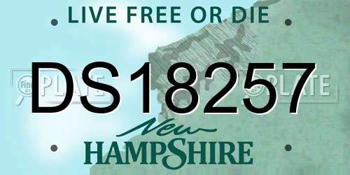DS18257 New Hampshire License Plate