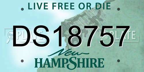 DS18757 New Hampshire License Plate