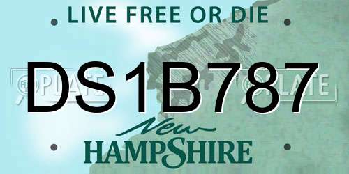 DS1B787 New Hampshire License Plate