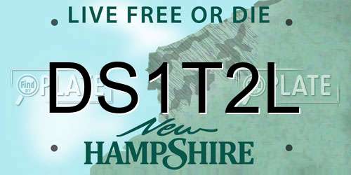 DS1T2L New Hampshire License Plate