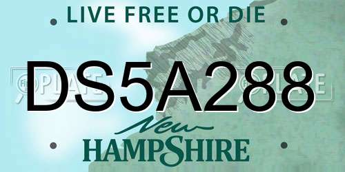 DS5A288 New Hampshire License Plate