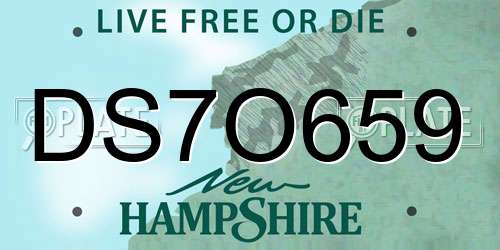 DS7O659 New Hampshire License Plate