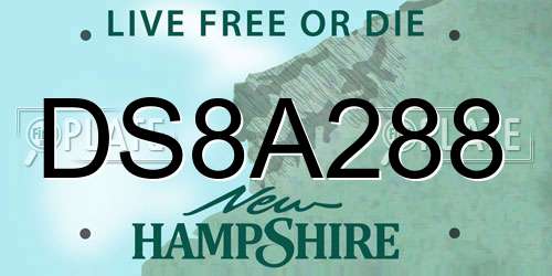 DS8A288 New Hampshire License Plate
