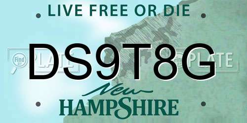 DS9T8G New Hampshire License Plate