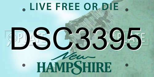 DSC3395 New Hampshire License Plate