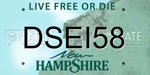 DSEI58 New Hampshire License Plate