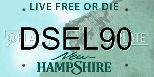 DSEL90 New Hampshire License Plate