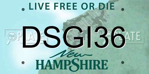 DSGI36 New Hampshire License Plate