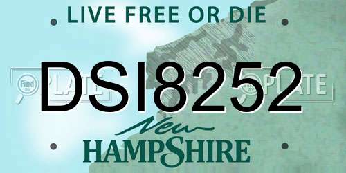 DSI8252 New Hampshire License Plate