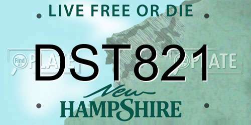 DST821 New Hampshire License Plate