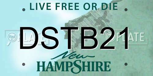 DSTB21 New Hampshire License Plate