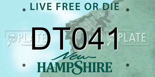 DT041 New Hampshire License Plate