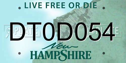 DT0D054 New Hampshire License Plate