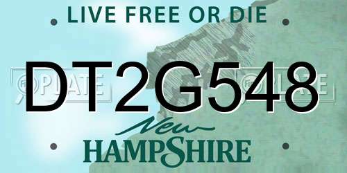 DT2G548 New Hampshire License Plate