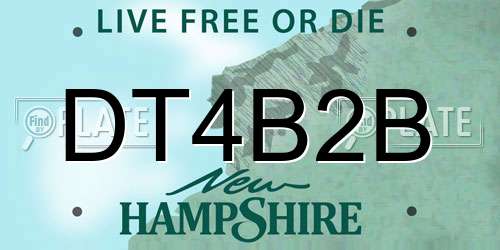 DT4B2B New Hampshire License Plate