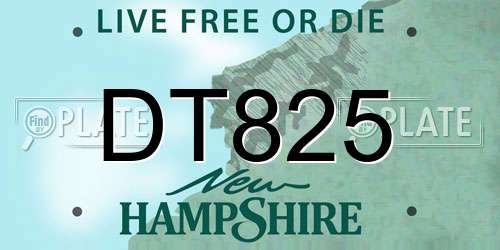 DT825 New Hampshire License Plate