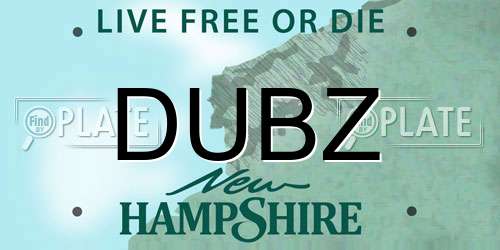 DUBZ New Hampshire License Plate
