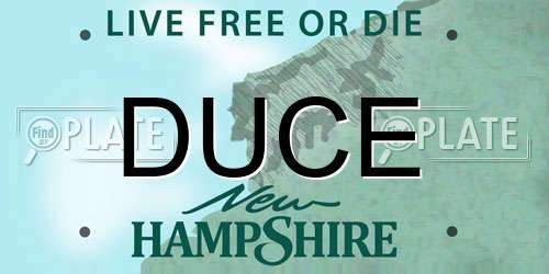 DUCE New Hampshire License Plate
