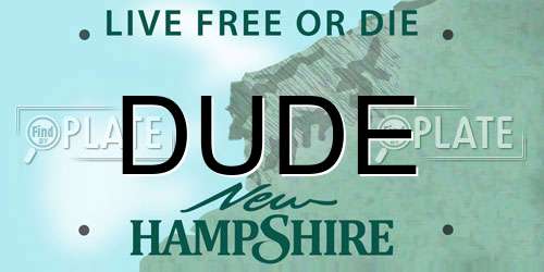 DUDE New Hampshire License Plate