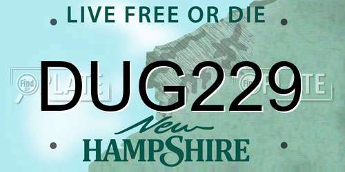 DUG229 New Hampshire License Plate