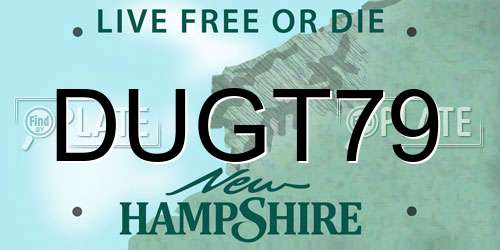 DUGT79 New Hampshire License Plate