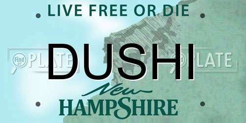 DUSHI New Hampshire License Plate