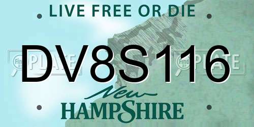 DV8S116 New Hampshire License Plate