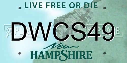 DWCS49 New Hampshire License Plate