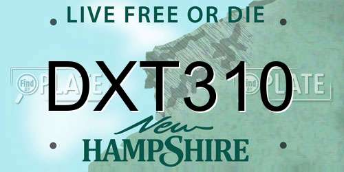 DXT310 New Hampshire License Plate