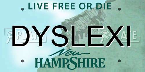 DYSLEXI New Hampshire License Plate