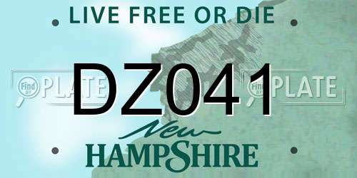 DZ041 New Hampshire License Plate