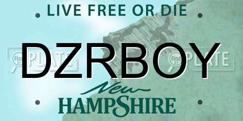 DZRBOY New Hampshire License Plate