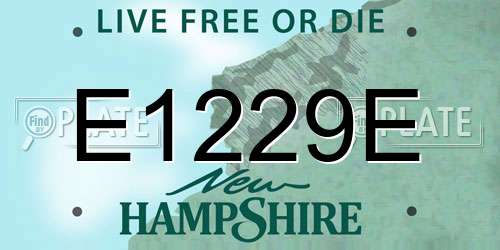 E1229E New Hampshire License Plate