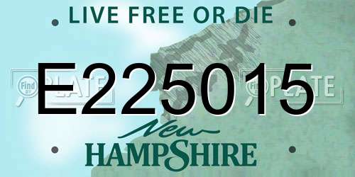 E225015 New Hampshire License Plate