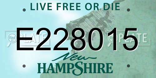 E228015 New Hampshire License Plate
