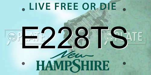 E228TS New Hampshire License Plate