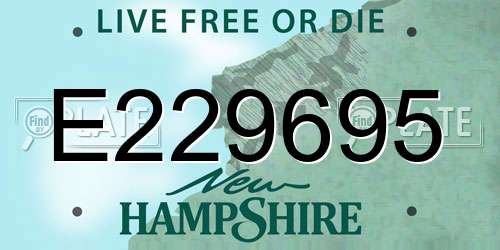 E229695 New Hampshire License Plate