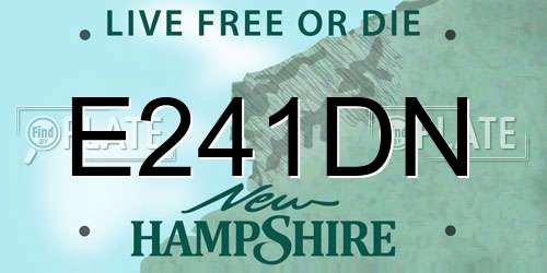 E241DN New Hampshire License Plate