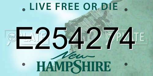 E254274 New Hampshire License Plate
