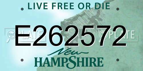 E262572 New Hampshire License Plate