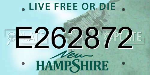 E262872 New Hampshire License Plate